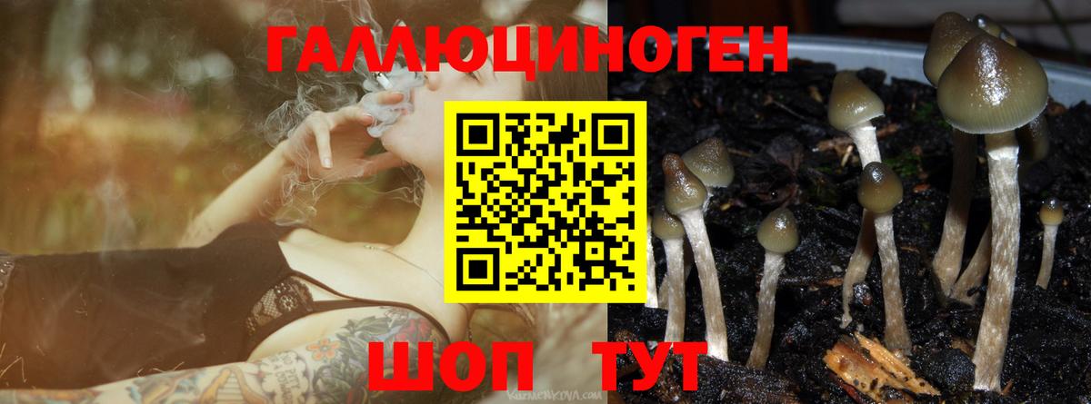 Лабинск  Галлюциногенные грибы Psilocybe  Вход с VPN 